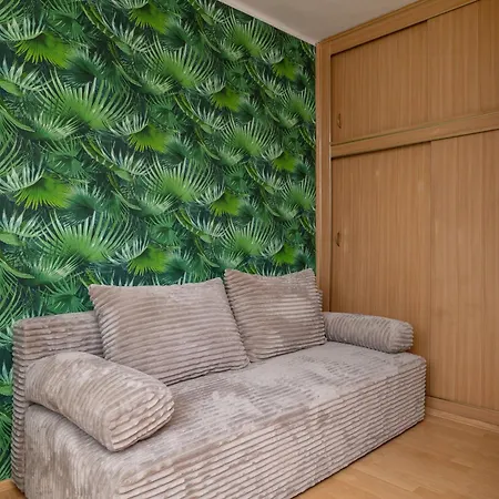 Spacious With Balcony In By Renters 卡托维兹